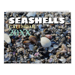 Calendario 2027 Playa Wall Seashell Beach Caracoles