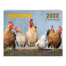 2027 Pollos Aves Pared Animales
