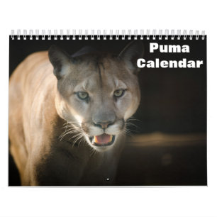 Calendario 2027 Puma