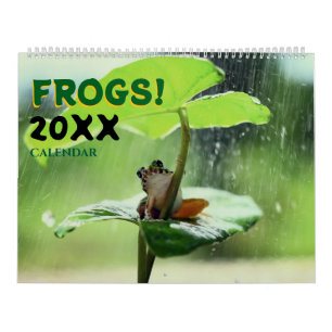 Calendario 2027 Ranas Lindas en la Naturaleza Pared