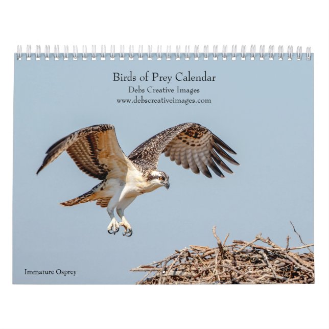 Calendario 2027 Rapaces de Norteamérica, Fotos de Aves de Pre (Tapa)