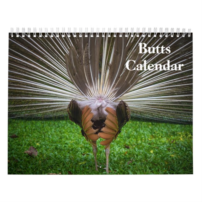 Calendario 2027 Traseros (Tapa)