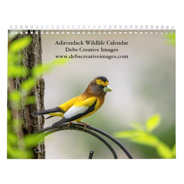 Calendario 2027 Vida Silvestre de Adirondack | Naturaleza de  (Tapa)