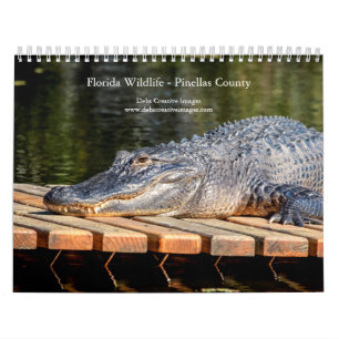 Calendario 2027 Vida Silvestre de Florida   Naturaleza del Co