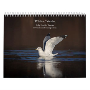 Calendario 2027 Vida Silvestre de Norteamérica   Animales Sal