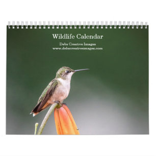 Calendario 2027 Vida Silvestre de Norteamérica   Aves y Mamíf