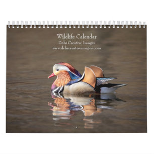 Calendario 2027 Vida Silvestre de Norteamérica   Fotografía d