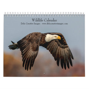 Calendario 2027 Vida Silvestre de Norteamérica   Fotografía d