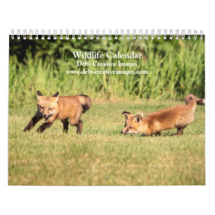 Calendario 2027 Vida silvestre del noreste, Fotografía de nat