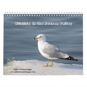 Calendario 2027 Vida Silvestre del Valle del Hudson Natural