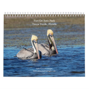 Calendario 2027 Vida silvestre en Fort De Soto Park, Florida