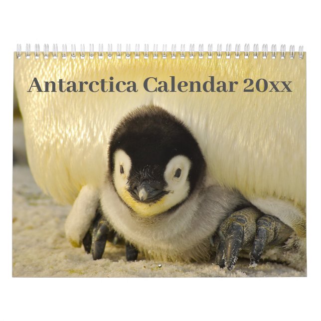 Calendario 20xx - Antártida (Tapa)