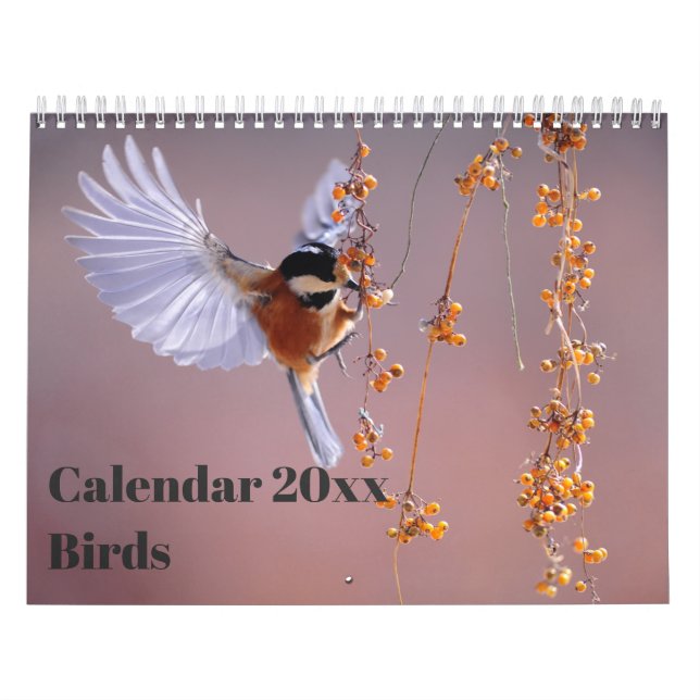 Calendario 20xx - Aves (Tapa)