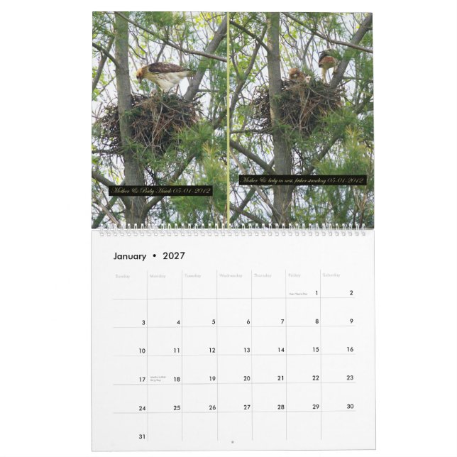Calendario 2yr. desarrollo Roberto E. Weiss del (Jan 2027)