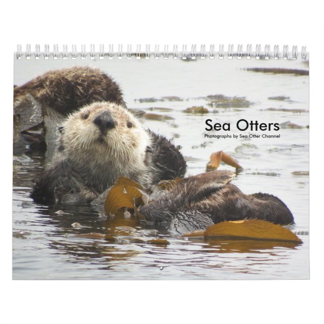 Calendario #3 del canal de la nutria de mar (Tapa)