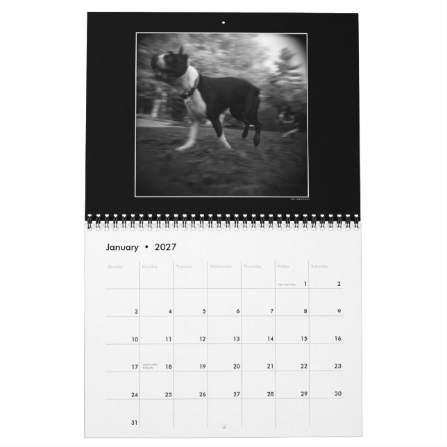Calendario 3 del parque del perro (Jan 2027)
