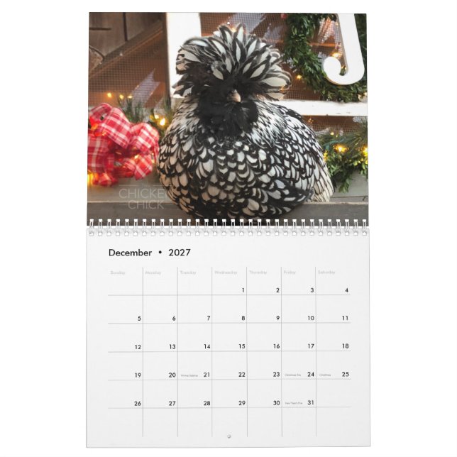 Calendario 3: La multitud del polluelo del pollo (Dec 2027)