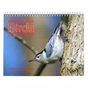 Calendario 3ro de los pájaros del patio trasero en