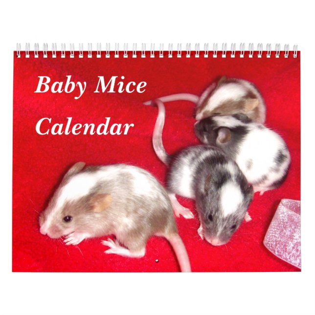 Calendario 4 Bebés Variados Creciendo (Tapa)