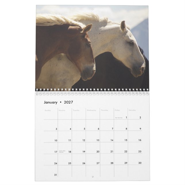 Calendario #4 de los caballos de proyecto (Jan 2027)