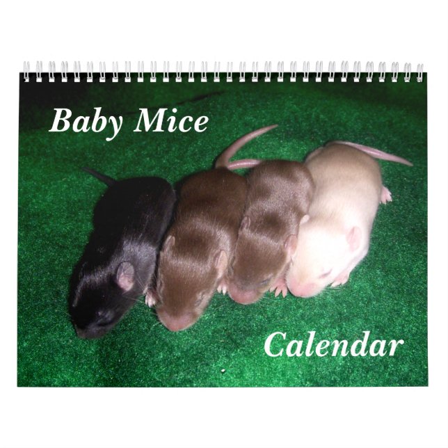 Calendario 4 ratones del bebé que crecen (Tapa)