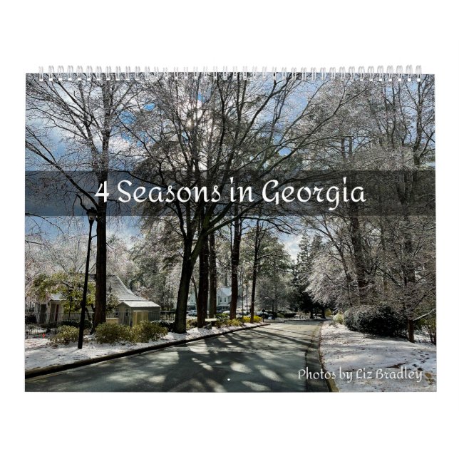 Calendario 4 Seasons in Georgia (Tapa)