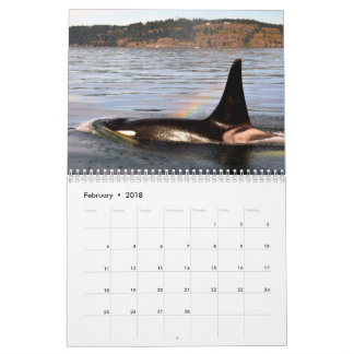 Calendario A.C. ballenas