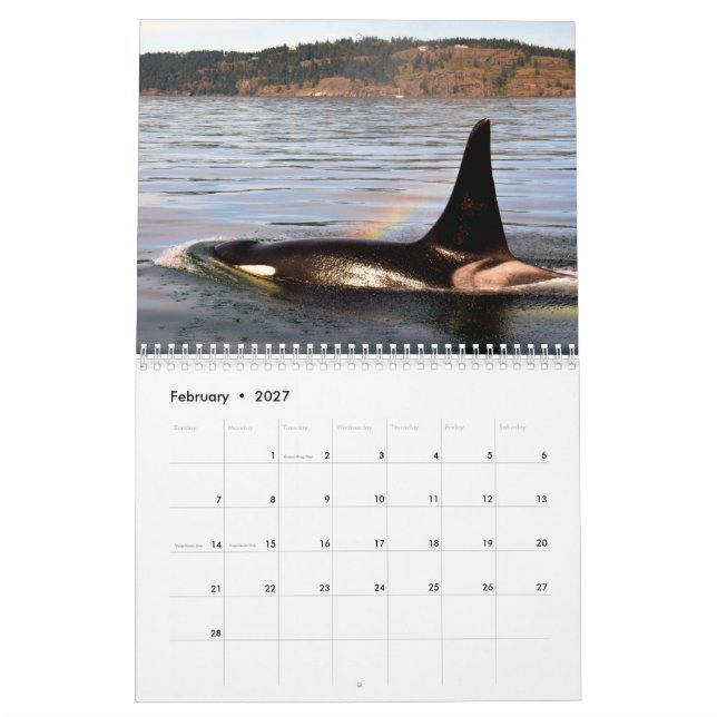 Calendario A.C. ballenas (Feb 2027)