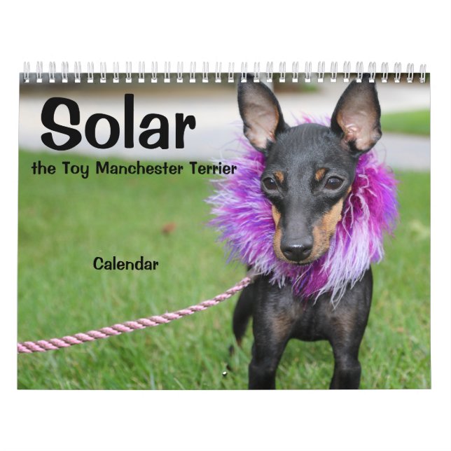Calendario A de Manchester Terrier Medium 2021 (Tapa)