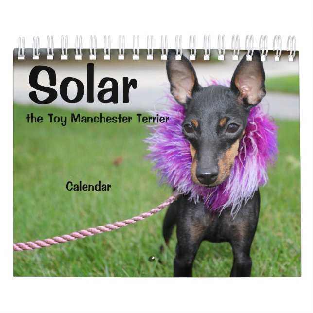 Calendario A de Manchester Terrier Small 2021 (Tapa)