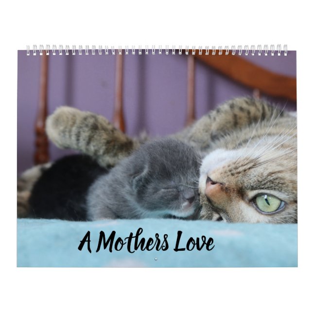 CALENDARIO A MOTHERS LOVE MAMACAT & HER KITTENS (Tapa)
