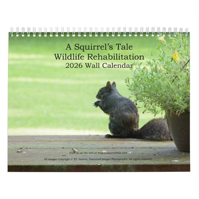 Calendario A Squirrel's Tale 2026 Wall Calendar (Tapa)