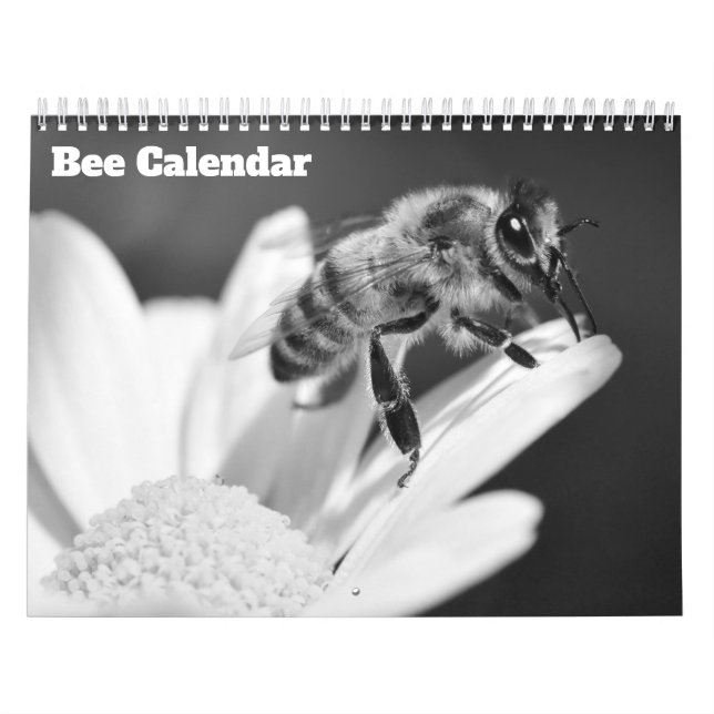 Calendario Abeja 2026 (Tapa)