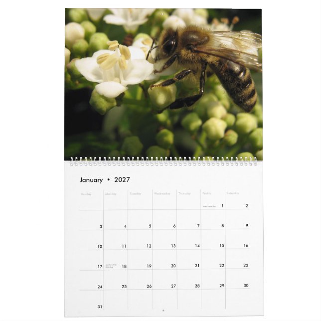Calendario Abejas (Jan 2027)