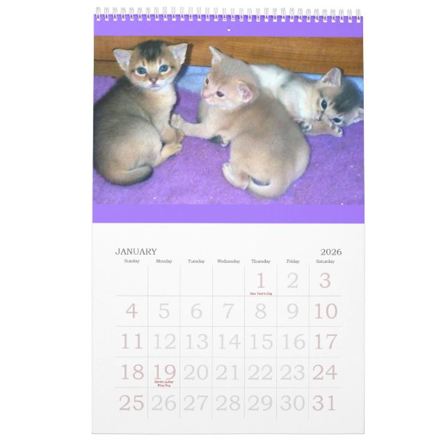 Calendario abisinio de los gatitos y de los gatos (Jan 2026)