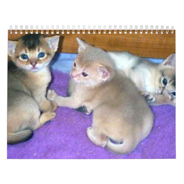 Calendario abisinio de los gatos (Tapa)