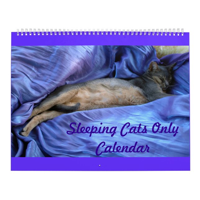 Calendario abisinio de los gatos el dormir (Tapa)
