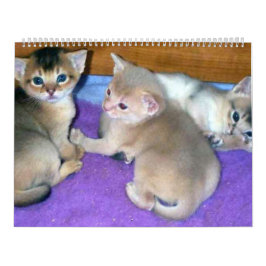 Calendario Aby Kittens Cat Calendar