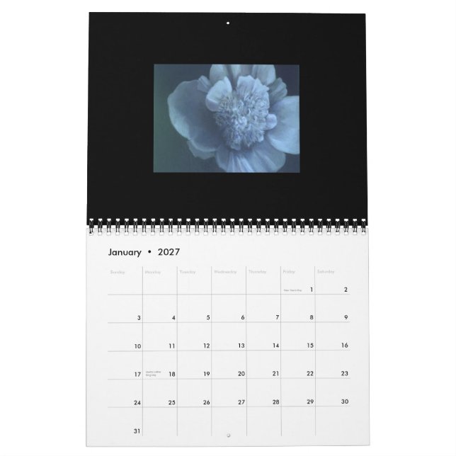 Calendario Aceite Paintings2015 (Jan 2027)