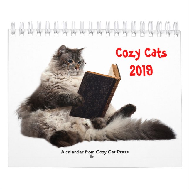 Calendario acogedor 2019 de los gatos (Tapa)