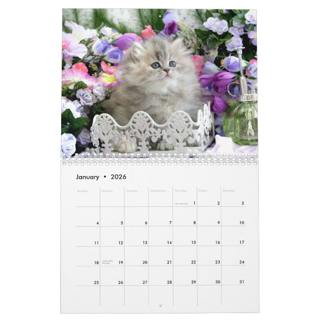 Calendario acogedor de 2010 gatitos - modificado (Jan 2026)