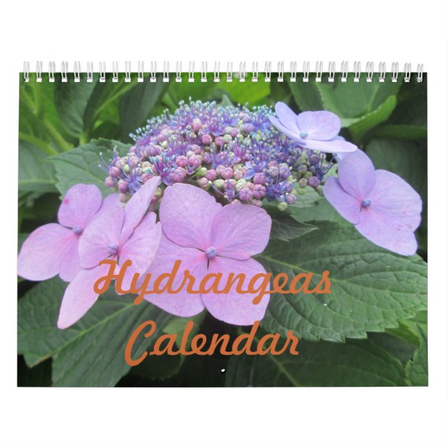 Calendario adaptable de la flor de los Hydrangeas (Tapa)