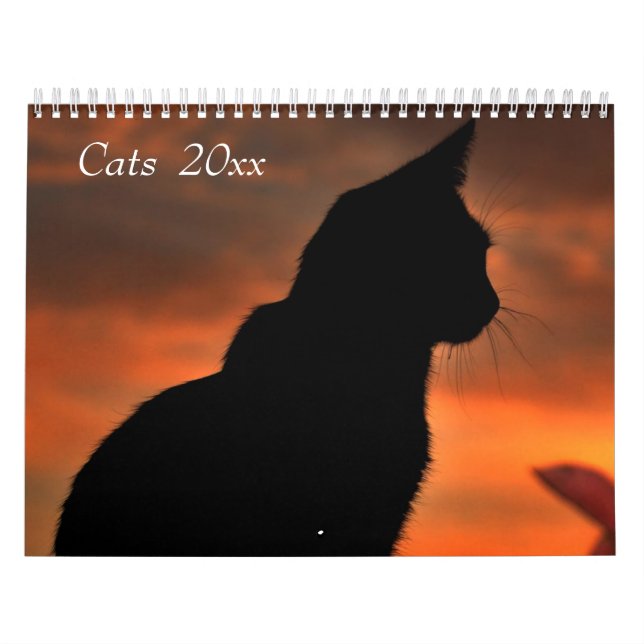 Calendario adaptable de los gatos (Tapa)