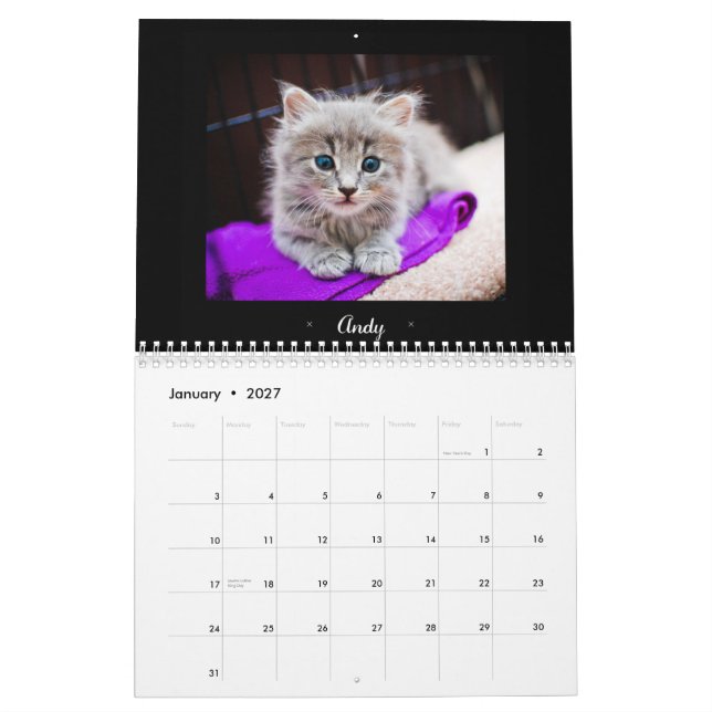 Calendario adoptivo de 2015 Felines (Jan 2027)