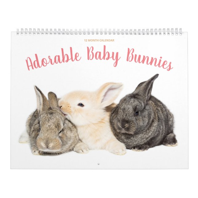 Calendario Adorable de conejillos para bebés (Tapa)