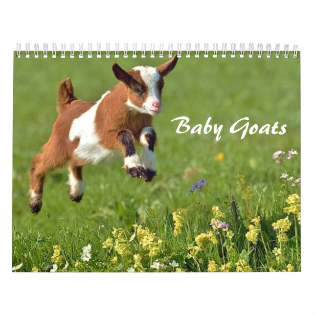 Calendario Adorable de las cabras para bebés (Tapa)