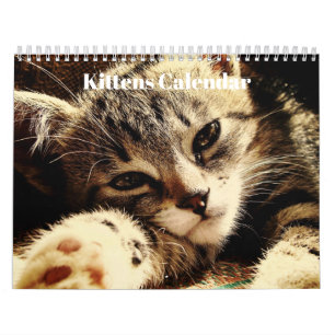 Calendario Adorables gatitos Bengal 2027