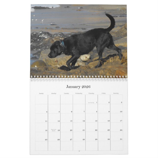 Calendario afortunado 2012 del perro perdiguero de (Jan 2026)