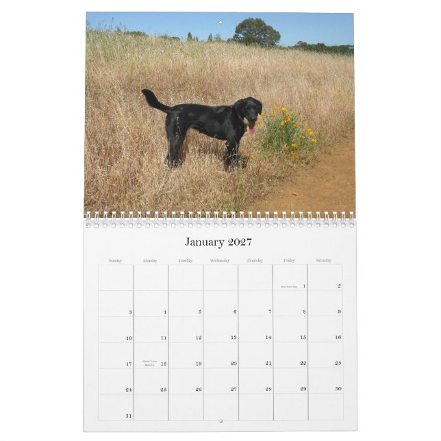 Calendario afortunado 2013 del labrador retriever (Jan 2027)