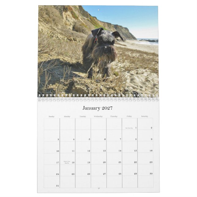 Calendario afortunado 2013 del Schnauzer miniatura (Jan 2027)